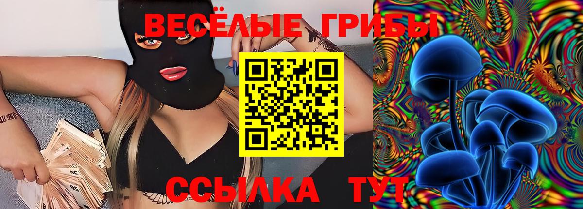 Магадан  Псилоцибиновые грибы MAGIC MUSHROOMS  даркнет сайт  Вход с VPN 